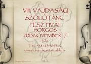 VIII. Vajdasági Szólótánc Fesztivál